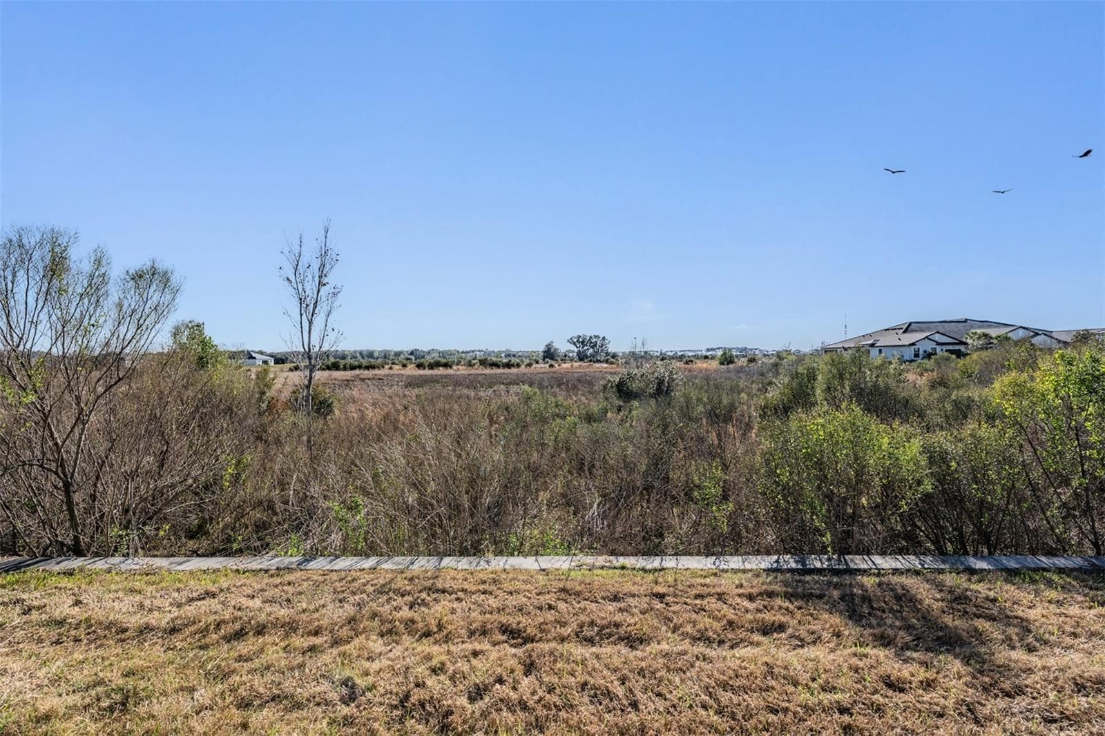 10334 ECHO DOCK LOOP photo 10