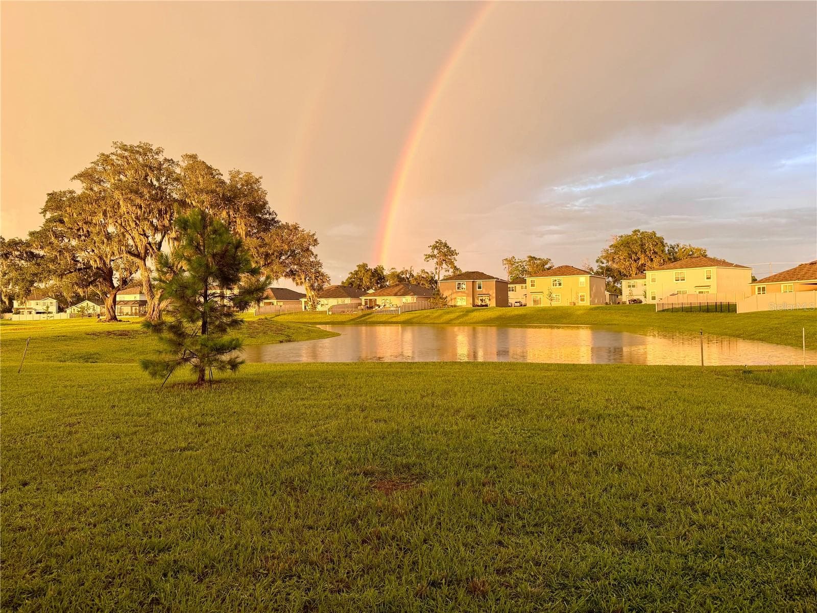 11304 SPOONBILL FLOCK WAY photo 9