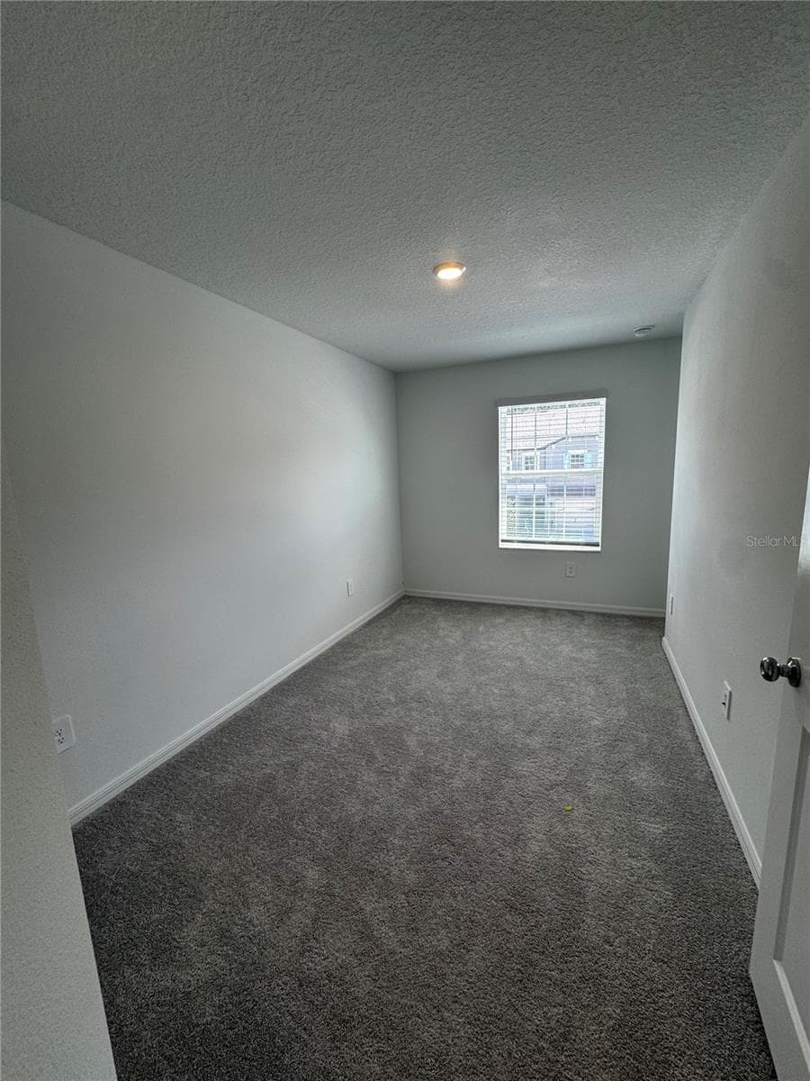 10149 TRUMPET HONEYSUCKLE WAY photo 11