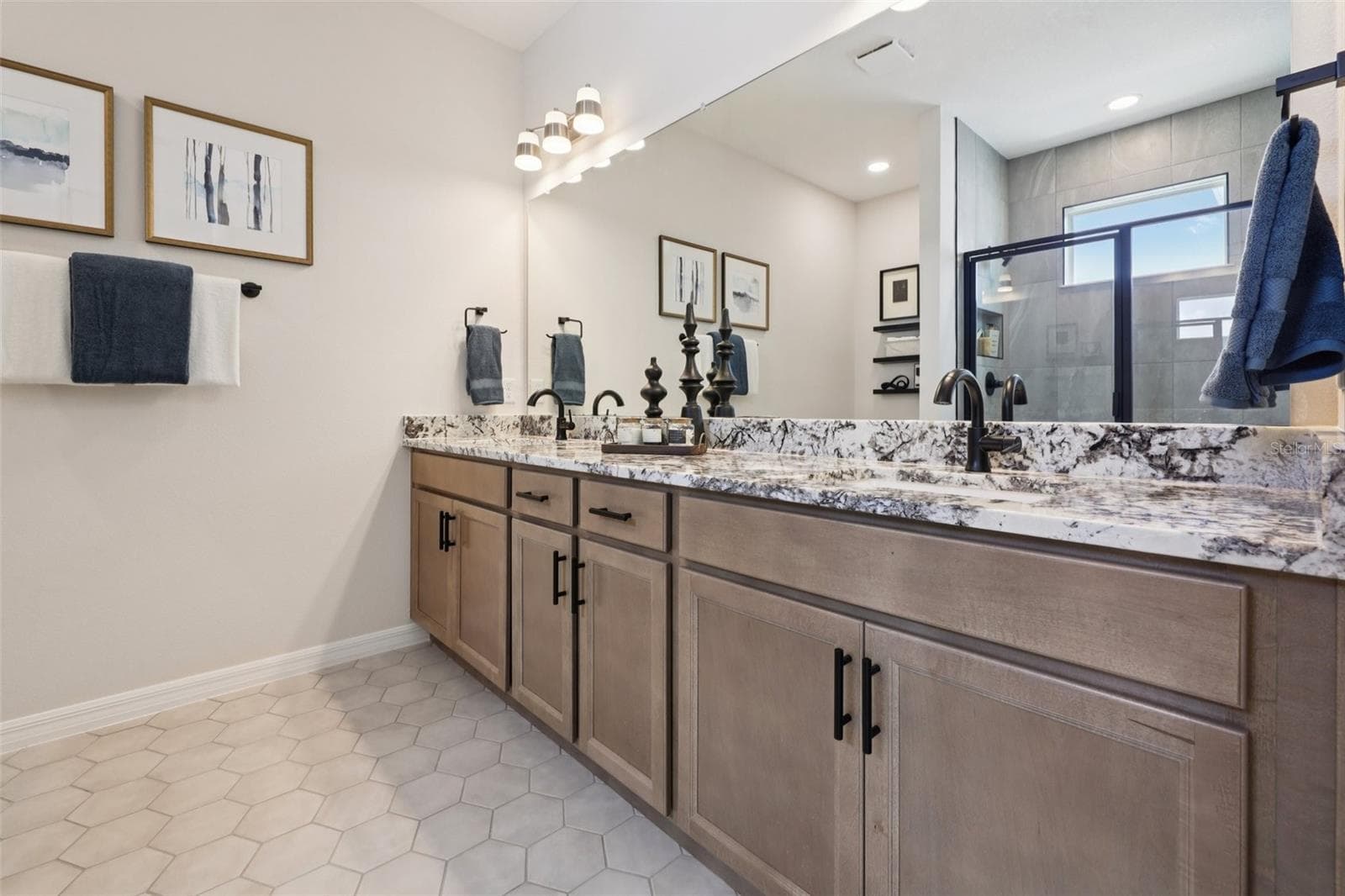 11136 TIDEPOOL CT photo 5