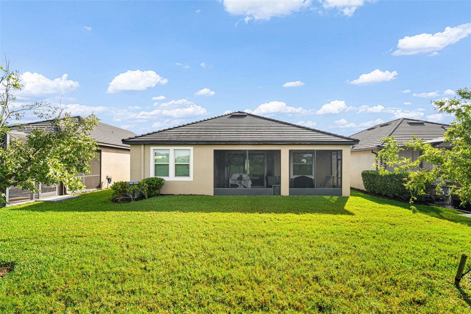 31687 CABANA RYE AVE photo 4