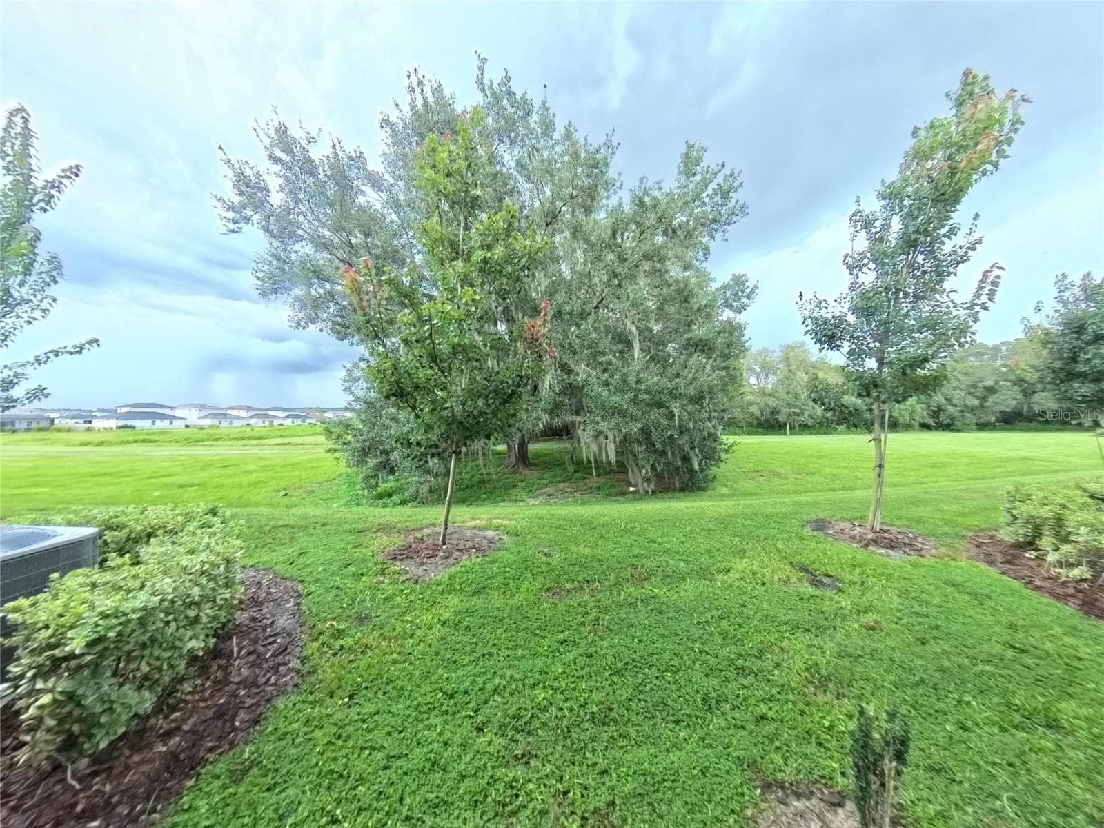 10370 TRUMPET HONEYSUCKLE WAY photo 2