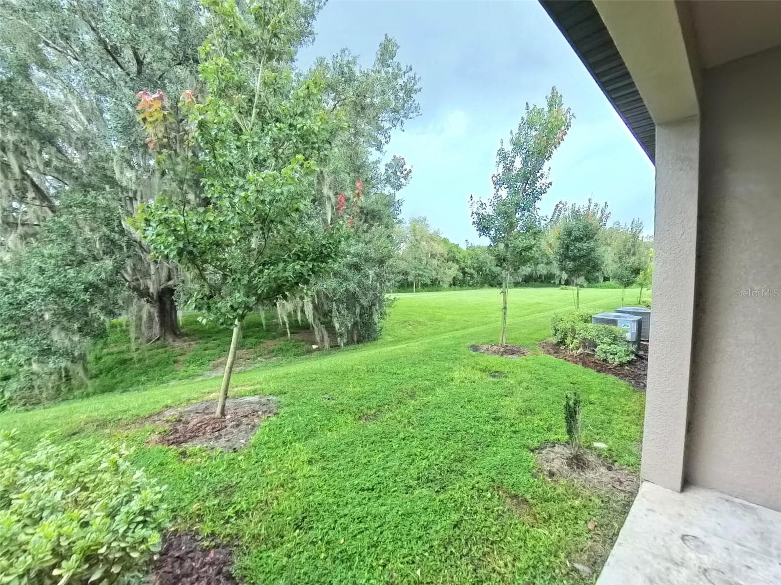 10370 TRUMPET HONEYSUCKLE WAY photo 3
